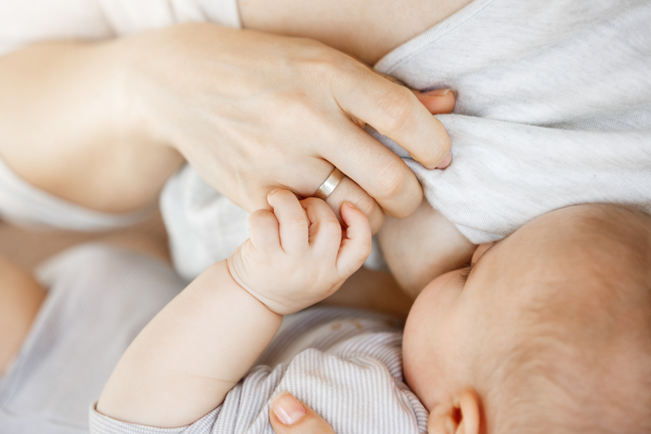 lactation